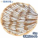 訳ありししゃも(3kg・1kg×3袋業務用子持ちシシャモ)ししゃも シシャモ