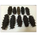 北海道産A級品 なまこ ナマコ 乾燥なまこ 1KG入り 2Mサイズ(5〜11g)