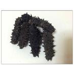 Yahoo! Yahoo!ショッピング(ヤフー ショッピング)激安初回お試し限定 北海道産B級品 なまこ 50ｇ入り Sサイズ 5g以下 【訳あり品、キズあり、形崩】 【簡易包装】