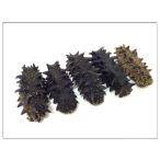 Yahoo! Yahoo!ショッピング(ヤフー ショッピング)激安初回お試し限定 北海道産A級品 乾燥なまこ ナマコ なまこ 50ｇ入り Sサイズ 2〜5g 【簡易包装】