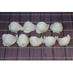 Yahoo! Yahoo!ショッピング(ヤフー ショッピング)東洋ツバメの巣 【高級大三角燕】 30g　つばめの巣　天然燕の巣