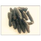 Yahoo! Yahoo!ショッピング(ヤフー ショッピング)関西産B品級 乾燥なまこ ナマコ なまこ 100ｇ入り Lサイズ 11g以上 【簡易包装】 【自家用訳あり品　キズあり、形崩れ】