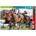 サラブレッドホースコレクション ツインウ