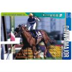 サラブレッドホースコレクション ツインウ