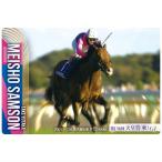 サラブレッドホースコレクション ツインウ