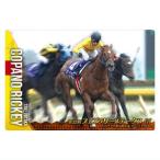 サラブレッドホースコレクション ツインウ