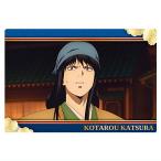  новый театр версия Gintama .. большой . сверху twin вафли [20. багряник японский маленький Taro ( -тактный - Lee карта S)][ кошка pohs рассылка соответствует ][C]