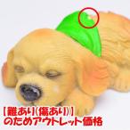 Yahoo! Yahoo!ショッピング(ヤフー ショッピング)■【難あり（傷あり）】■　ねむ〜い犬 ［4.ダックス］【 ネコポス不可 】（19659）