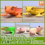 Yahoo! Yahoo!ショッピング(ヤフー ショッピング)【全部揃ってます!!】カプセルQミュージアム ヤモリ大全2 クレステッドゲッコー ［全5種セット（フルコンプ）］●【ネコポス配送対応】（20337）