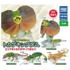 ショッピングキングダム 【全部揃ってます!!】あそべる生物フィギュアシリーズ トカゲキングダム エリマキトカゲがやってきた!! [全4種セット(フルコンプ)]【ネコポス配送対応】【C】
