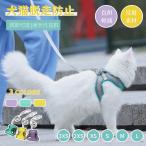  собака кошка для . данный .& Harness & Lead комплект домашнее животное . данный . домашнее животное Lead собака кошка сопутствующие товары домашнее животное товары собака кошка Lead шлейка скидка шнурок ночь отражающий "дышит" выпадение нет выход сопутствующие товары 