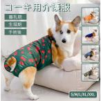 собака для правила поведения одежда Corgi специальный . собака специальный трусы для животных собака для гигиенический брюки менструация брюки непромокающие трусики подтяжки имеется ремень для животных менструация для уход собака одежда 