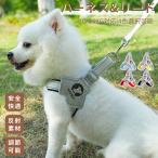  собака шлейка с поводком есть домашнее животное Harness шлейка прогулка Harness собачий поводок одежда Harness шлейка Lead ошейник маленький размер собака средний собака оторван, отходит нет шлейка с поводком прогулка выход 
