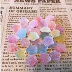 ミニざらめ30個 [スタ