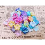 オーロラカラーフラワ