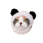 ne это головной убор симпатичный симпатичный .... Chan Panda * письмо кейс &amp; слежение номер есть mail соответствует 