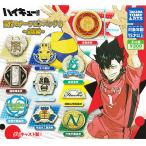 ハイキュー!! 高校モチーフピンバッジ3 全国編 全10種セット