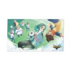 7月下旬再販予定　『イナズマイレブン 英雄たちのヴィクトリーロード』オリジナルアクリルパネル Vol.2 タイトルイラスト第3弾