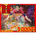 花火セット　テラ盛り!!　花火詰め合わせ箱　縁日　お祭り　キャンプ　BBQ　景品　子供会　ファミリー　9000　送料無料