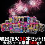 【噴出セット】　花火屋チョイス！噴出花火セット 30種30本！薬量300g！ボリューム満点お買い得セット　送料無料