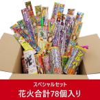 花火 若松屋スペシャルセット 手持ち噴出花火合計78個 テモプラ キャンプ BBQ 子供会 町内会 ファミリー 夏合宿 送料無料