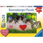 ジグソーパズル　キッズパズル　眠たい子猫　24ピース×2　26cm×18cm　ラベンスバーガー　送料無料