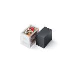 任天堂　マリオ花札　黒　定形外郵便で送料無料