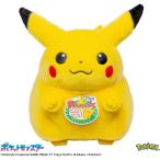 タカラトミー ポケットモンスター ポケモン30周年記念 おかえり