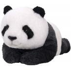 ひざぱんだ ぬいぐるみ M 全長48cm　P-6022　送料無料