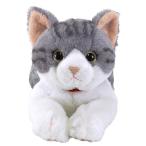  колено .. мягкая игрушка скумбиря белый M размер общая длина примерно 47cm P-7792 бесплатная доставка 