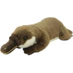 �t���b�t�B�[�Y M �J���m�n�V�@�S����37cm �ʂ�����݁@P-1053�@��������