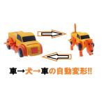 へんけいドライブ トラック　送料無料