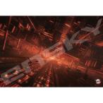 12月発売予定　ジグソーパズル 1000ピース アニメ「鬼滅の刃」 鎹鴉  51×73.5cm  1000T-565　送料無料