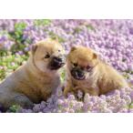 ジグソーパズル 108ピース ペット ひなたぼっこ犬 18.2x25.7cm 01-073　送料無料