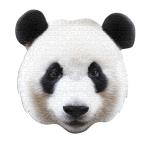 ジグソーパズル 550ピース ビッグフェイス【パンダ】75×70cm SHP-026　送料無料