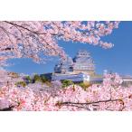 2026年1月予定ジグソーパズル3...