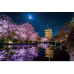 ジグソーパズル　1000ピース　光るパズル　KAGAYA 月に咲く　京都　50x75cm　10-1299　やのまん