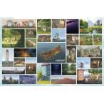 ジグソーパズル1000ピースムーミ...