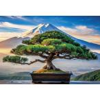 ジグソーパズル70ピースプリズムプ...