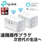 【2台お得セット】WiFi スマートプラグ 遠隔操作 直差しコンセント Echo シリーズ Google Home 対応 音声コントロール コンパクト ハブ不要 3年保証 HS105
