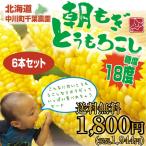 < 送料無料 > 極甘 フルーツコーン 朝もぎとうもろこし ゆめのコーン お試しセット 6本セット 約2.5kg