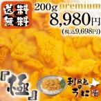 < 送料無料 幻 大粒プレミアムタイプ 極（きわみ） > 利尻島のうに 無添加 利尻産 塩水うに プレミアム エゾバフンウニ 200g <7月上旬頃から発送>