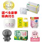 ショウキT-1プラス30袋　たんぽぽ茶　選べる豪華特典　1箱 正規取扱店　タンポポ茶 健康茶 糖鎖