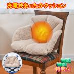  заряжающийся теплый подушка мобильный аккумулятор есть моющее средство JOE30g×2 шт дополнительный подарок 