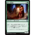 マジック：ザ・ギャザリング MTG 隠れた薬草医 アンコモン / 霊気紛争 日本語版 カラデシュブロック