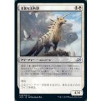 MTG マジック：ザ・ギャザリング 壮麗な金角獣 アンコモン イコリア：巨獣の棲処 IKO-022 日本語版 クリーチャー 白