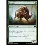 MTG マジック：ザ・ギャザリング 逆毛の猪 フォイル・コモン イコリア：巨獣の棲処 IKO-F146 日本語版 クリーチャー 緑