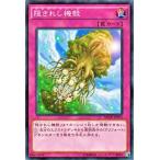 Yahoo! Yahoo!ショッピング(ヤフー ショッピング)遊戯王 隠されし機殻 アポクリフォート ネクストチャレンジャーズ