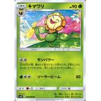 ポケモンカードゲーム