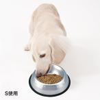 ステンレスサパーディッシュ